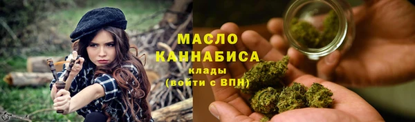 крисы Богородск