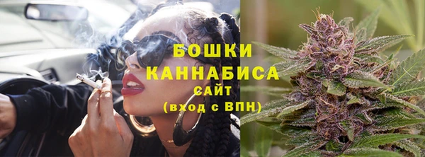 крисы Богородск