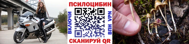 Галлюциногенные грибы Psilocybine cubensis Мончегорск